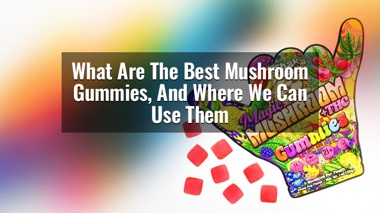 What Are The Best Mushroom Gummies, And Where We Can Use Them?