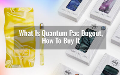 What Is Quantum Pac Dugout, How To Buy It?