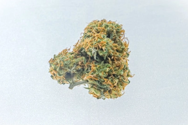 Close-up of a single dense and frosted THCA flower bud on a white background