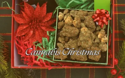 12 Days of Cannabis Christmas