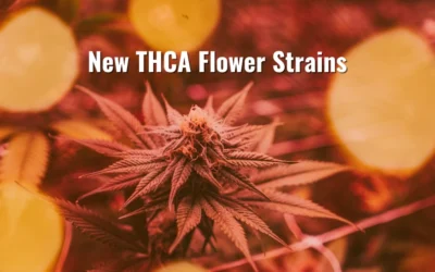 Why There Are Always New THCA Flower Strains