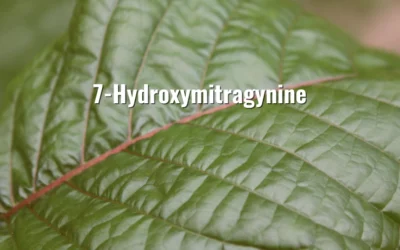 7-Hydroxymitragynine: The Insider’s Guide