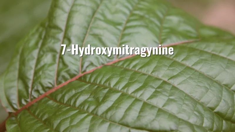 Close-up of a kratom leaf with the title “7-Hydroxymitragynine” overlayed