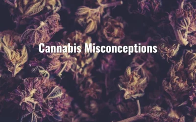 Cannabis Misconceptions: What You Need to Know