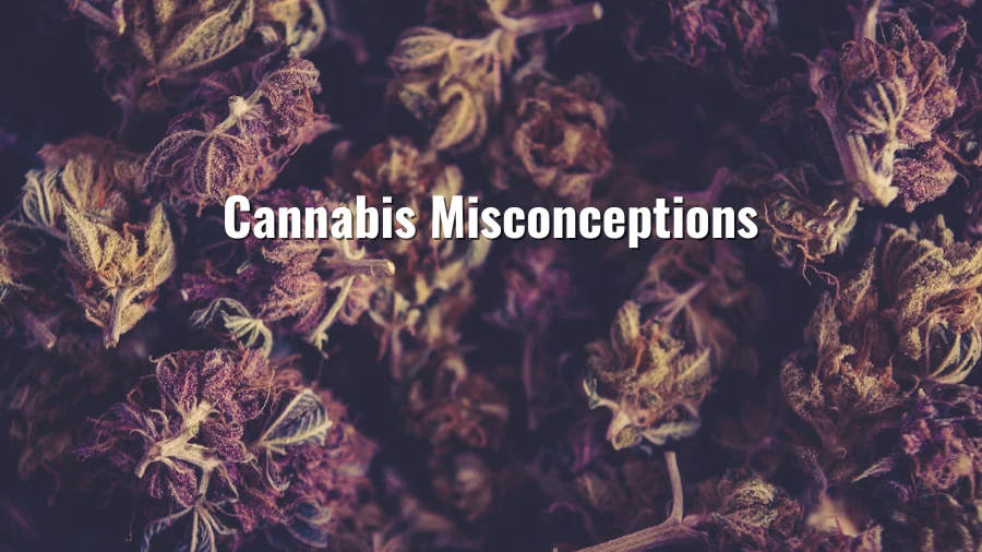 Cannabis Misconceptions: What You Need to Know