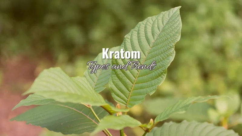 Fresh kratom leaf with the title “Kratom: Types and trends” overlay