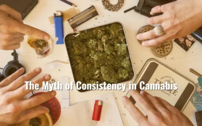 The Myth of Consistency in Cannabis