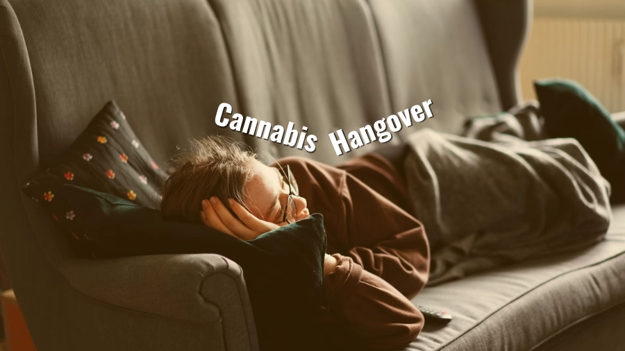 Cannabis Hangover Survival Guide