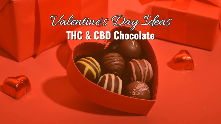 Valentines Day Ideas: THC & CBD Chocolate